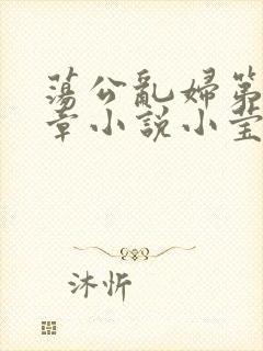 荡公乱妇第51章小说小莹