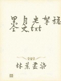 黑月光拿稳小说全文txt封面