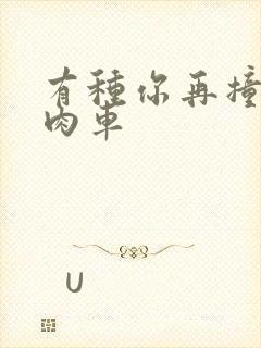 有种你再撞一下肉车封面