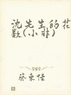 沈先生的花式调数(小非)