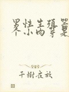 男性生殖器长了个小肉芽是怎么回事