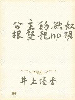 公主的欲奴h四根双龙np视频