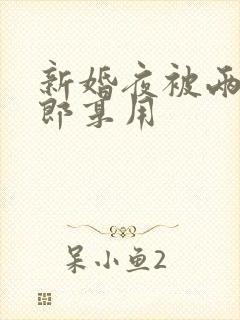 新婚夜被两个伴郎享用封面