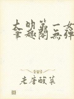 大明第一女首辅笔趣阁无弹窗封面