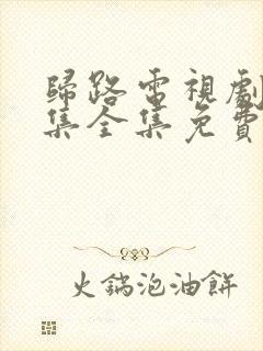 归路电视剧30集全集免费观看