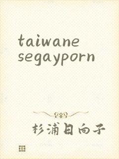 taiwanesegayporn封面