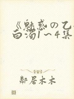 《魅惑の乙女と白浊1～4集》