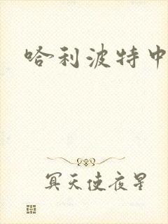 哈利波特中文版