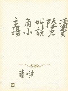 主角叫陆涛的官场小说免费阅读