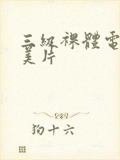 三级裸体电影欧美片封面