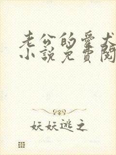 老公的爱犬陈强小说免费阅读封面