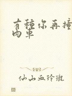 有种你再撞一下肉车