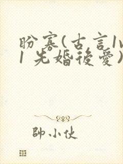 盼寡(古言1v1 先婚后爱)