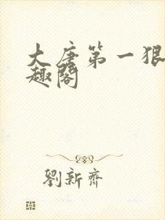 大唐第一狠人笔趣阁