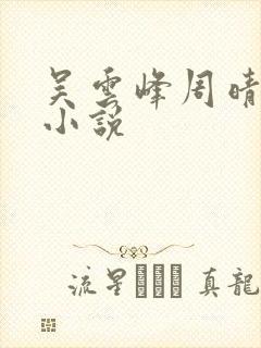 吴云峰周晴李磊小说