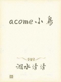 acome小鸟