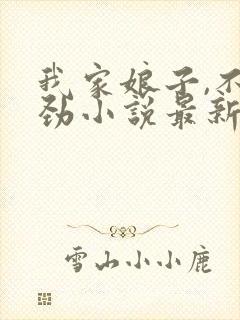 我家娘子,不对劲小说最新章节