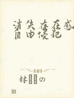 消失存在感消失自由侵犯