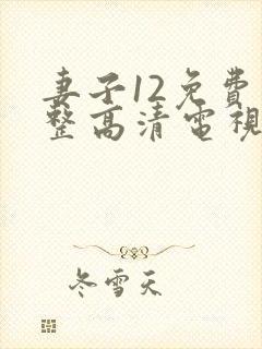 妻子12免费完整高清电视剧在线观看