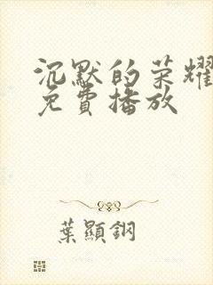 沉默的荣耀全集免费播放