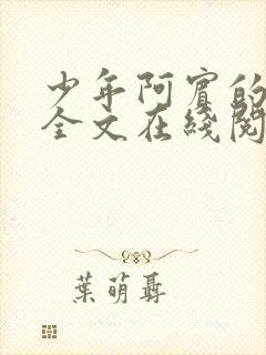 少年阿宾的故事全文在线阅读免费封面