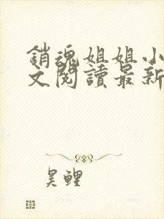 销魂姐姐小说全文阅读最新章节列表