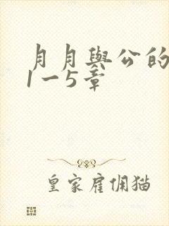 月月与公的激情1一5章封面