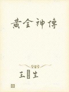 黄金神传封面