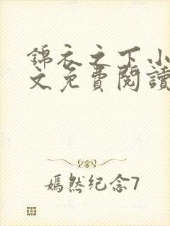 锦衣之下小说全文免费阅读无弹窗