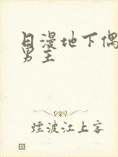 日漫地下偶像双男主封面