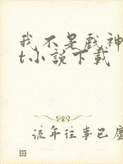 我不是戏神txt小说下载