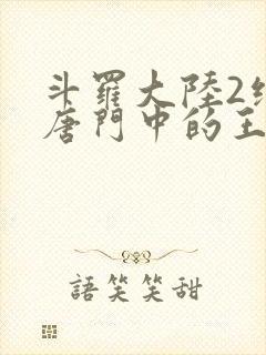 斗罗大陆2绝世唐门中的王冬封面