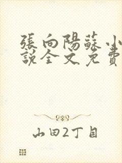 张向阳苏小棠小说全文免费阅读笔趣阁封面