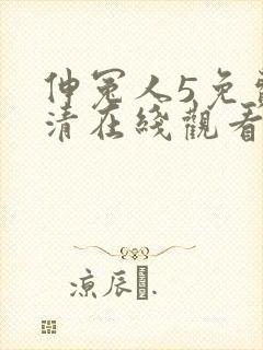 伸冤人5免费高清在线观看完整版