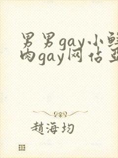 男男gay小鲜肉gay网站亚洲
