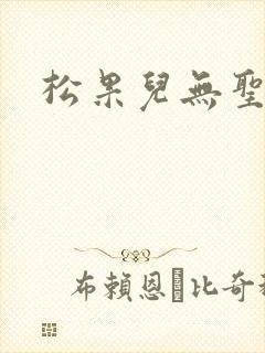 松果儿无圣光封面