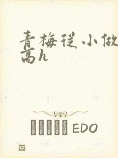 青梅从小做到大高h封面