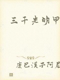 三千光明甲