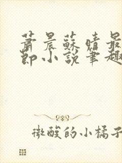 萧晨苏晴最新章节小说笔趣阁