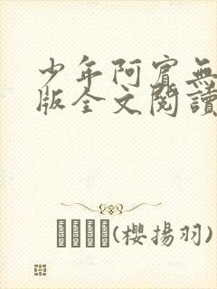 少年阿宾无删减版全文阅读