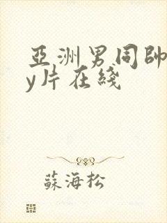 亚洲男同帅gay片在线