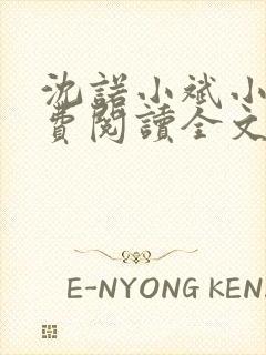 沈诺小斌小说免费阅读全文最新章节