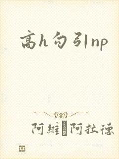 高h勾引np