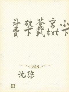 斗破苍穹小说免费下载txt下载封面