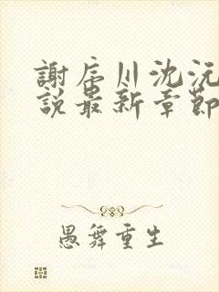 谢序川沈沅珠小说最新章节免费阅读