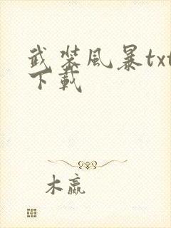 武装风暴txt下载