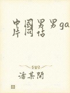 中国男男gay片网站封面