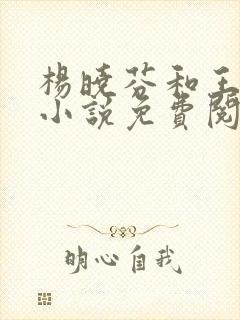 杨晓芬和王磊的小说免费阅读全文