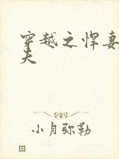 穿越之悍妻共三夫