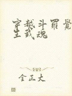 穿越斗罗觉醒十生武魂